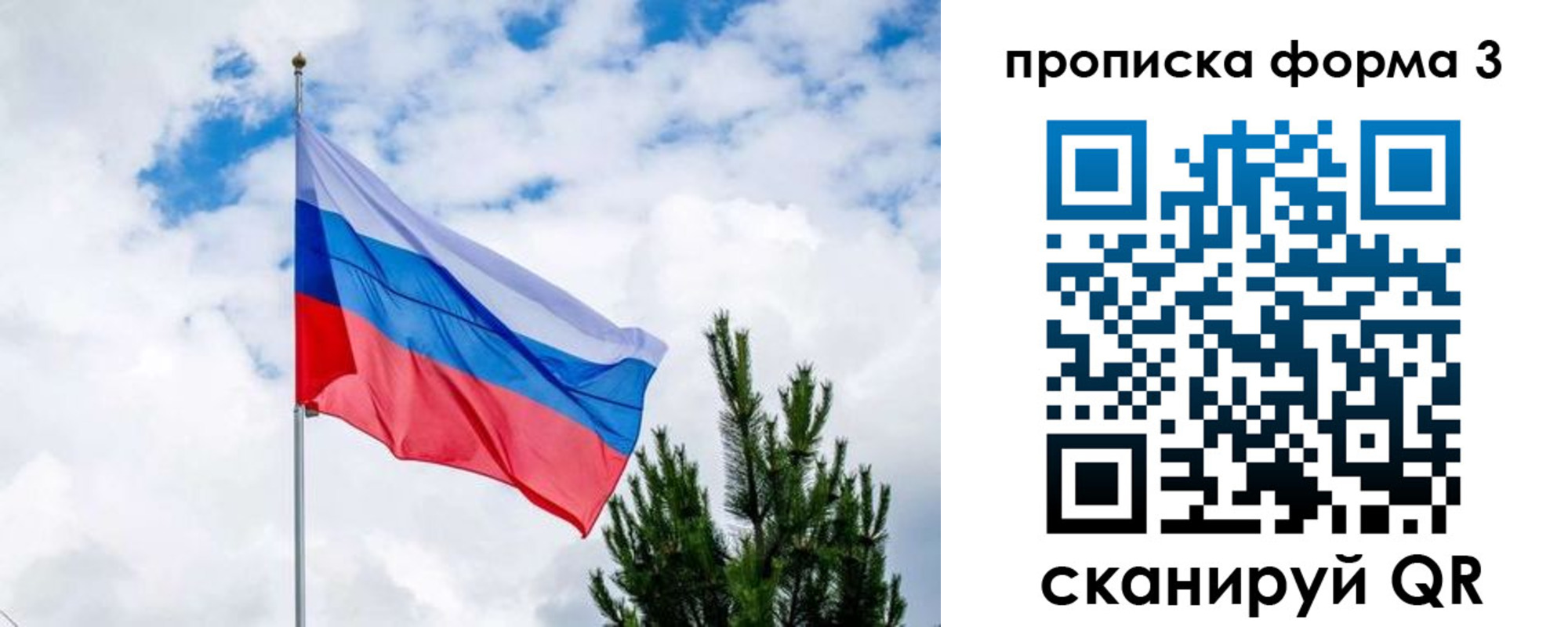 прописка для школы в Прохладном